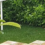 לינה וארוחת בוקר Casa Riccardo Urban B&bio 4*